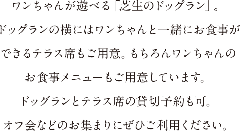 ワンちゃんが遊べる「芝生のドッグラン」。ドッグランの横にはワンちゃんと一緒にお食事ができるテラス席もご用意。もちろんワンちゃんのお食事メニューもご用意しています。ドッグランとテラス席の貸切予約も可。オフ会などのお集まりにぜひご利用ください。