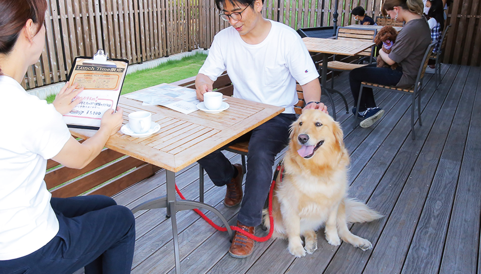 料理写真