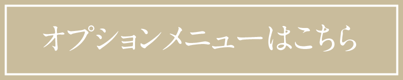 オプションメニューはこちら